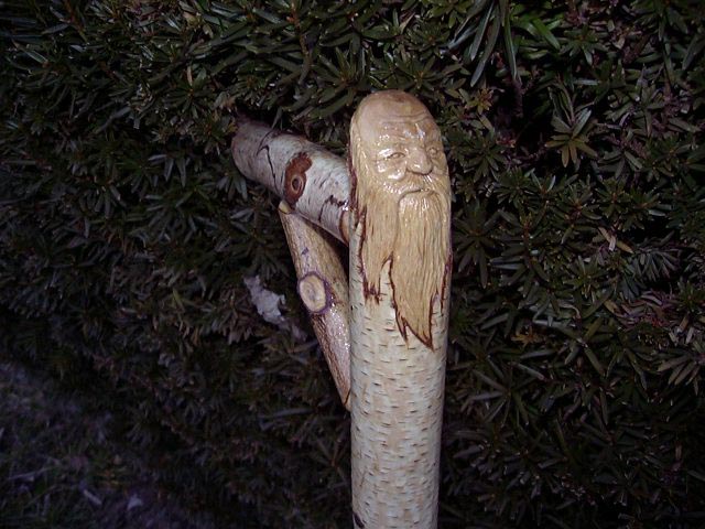 carver3.jpg