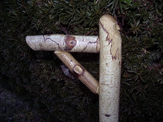 carver3.jpg